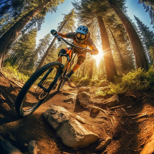 Bike Frame Protection