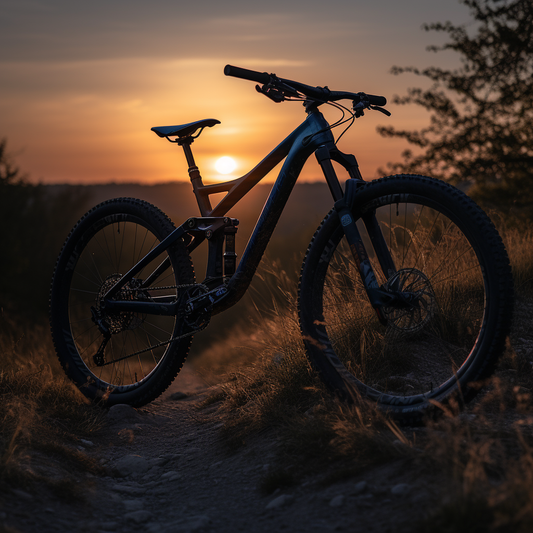 MTB Frame Protection